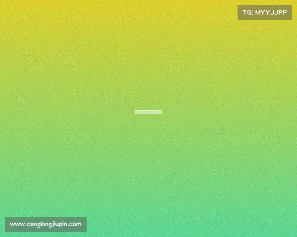 七道赛事以往照片怎么看