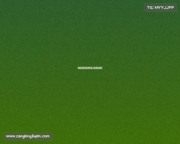 法甲里昂骚乱赛事通知,法甲里昂阵容